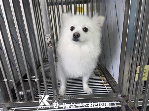 한국동물구조관리협회_411316202500402